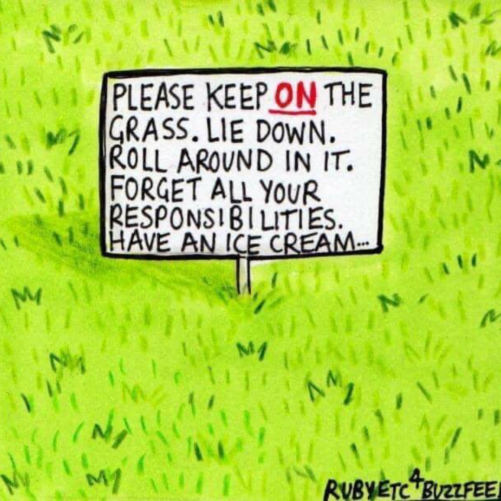 Disclaimer--Please Read Before Purchasing